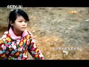董卿大气致新春贺词下载