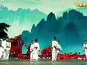 赵文卓超难通臂拳表演下载