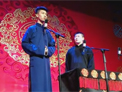 树没叶下载