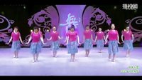 杨艺杨丽萍2015广场舞 风中花蕾 正面下载