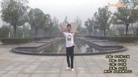 楠楠广场舞新舞 走中华 正反教