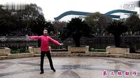 张春丽广场舞 情在远方  背面及分解