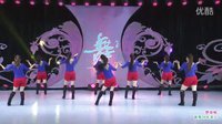 杨艺王梅广场舞《想你啦》背身下载