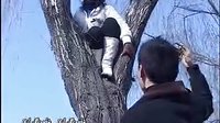 民间小调《小姨子上树》下集