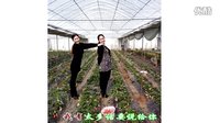 金灿灿广场舞好姐妹：相册下载