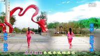 金灿灿广场舞《健康就是福》异地合屏（演示：河南乐舞飞扬、山东 灿灿）下载