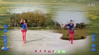 金灿灿广场舞红马鞍：异地合屏（演示：河南乐舞飞扬、山东 灿灿）下载