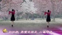 金灿灿广场舞千错万错爱你没有错：下载