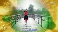 金灿灿广场舞小小新娘花：下载