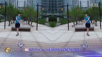 金灿灿广场舞 蝶恋花：下载