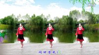 金灿灿广场舞白首不相离：编舞 青儿下载