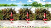 金灿灿广场舞爱你一生：201410016编舞 青儿下载