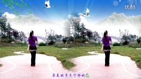 金灿灿广场舞柔美的月色：编舞 惠汝下载