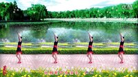 金灿灿广场舞错过：下载
