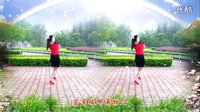 金灿灿广场舞若有缘再相见：下载