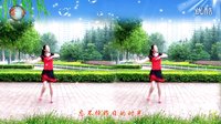 金灿灿广场舞一生无悔：下载