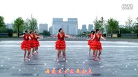 金灿灿广场舞舞动中国：团队舞排练版下载