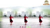 金灿灿广场舞待嫁的新娘：下载