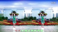 金灿灿广场舞山谷的思念：编舞 凤凰六哥下载