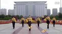 金灿灿广场舞《采花的小姑娘》下载