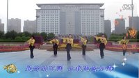 金灿灿广场舞放爱大草原：下载