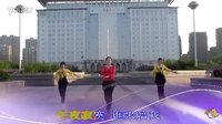 金灿灿广场舞摇摆哥：下载