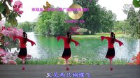 金灿灿广场舞又见两只蝴蝶飞：附背面演示下载