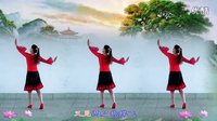 金灿灿广场舞又见两只蝴蝶飞：1附背面演示下载