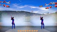 金灿灿广场舞草原情郎：下载