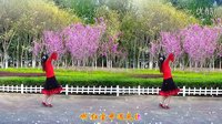金灿灿广场舞今生有你：下载