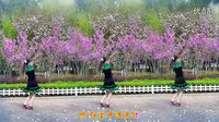 金灿灿广场舞今生有你：三人版下载