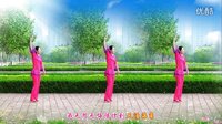 金灿灿广场舞你是我今生的依靠：下载
