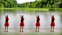 金灿灿广场舞草原妹妹：编舞 惠汝下载