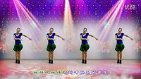 金灿灿广场舞燃烧吧蔬菜：编舞 叶子下载