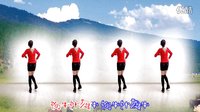 金灿灿广场舞你牛什么牛：编舞 云裳团队 花语下载