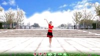 金灿灿广场舞猜：正反面附分解下载
