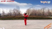 舞动旋律2007健身队广场舞把你宠坏