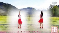 金灿灿广场舞乌来山下一朵花：正反面合屏版下载