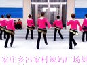 岳家庄乡冯家村辣妈广场舞《火了爱》下载