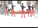 快乐辣妈广场舞(咚巴拉dj) 健身舞下载