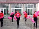 辛寨漯河开心辣妈广场舞-开门红下载