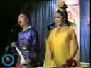 《刘小姐观星/刘金定观星/力杀四门》李淑晶