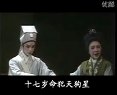 梁祝 越剧全场明星版