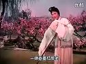 越剧《真假女婿 》(上)（蔡东妃主演）