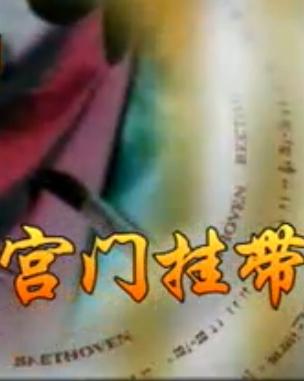 越剧宫门挂带全剧(蔡东妃)