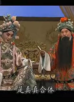 河北梆子《打金枝》名段欣赏：这一件蟒龙袍真真的可体下载