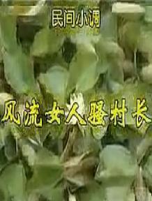 安徽民间小调：风流女人骚村长下载