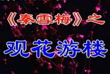 湖南花鼓戏《秦雪梅之观花游楼》