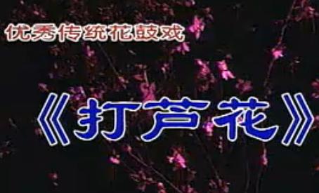 湖南花鼓戏《打芦花》