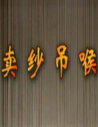 湖南花鼓戏《卖纱吊喉》